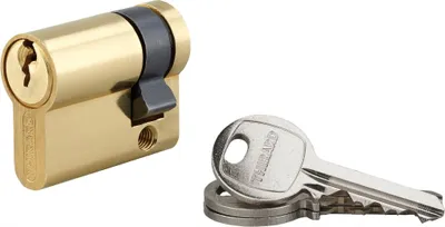 Image de Demi-cylindre de serrure SA, 30x10mm, anti-arrachement, laiton, 3 clés - THIRARD