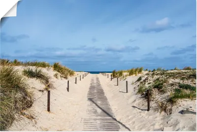 Produktbild von ARTland Poster Strandaufgang an Küste der Ostsee Größe: 30x20 cm