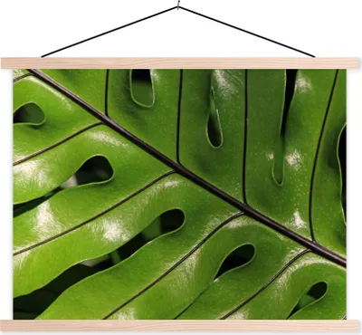 Produktbild von MuchoWow® Textilposter Tropische botanische Blätter leuchten in der Sonne 150x113 cm mit holzfarbenen Rahmen - Poster