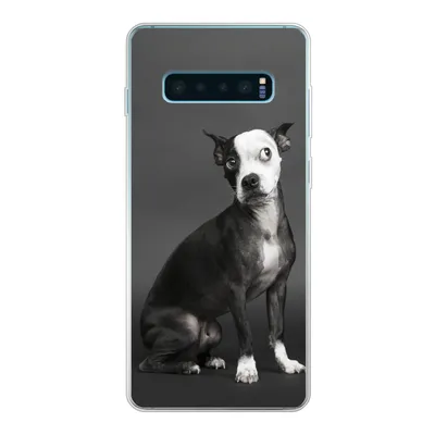 Produktbild von MuchoWow® Handyhülle Schutzhülle Hülle für Samsung Galaxy S10 Lite Hund - Spot - Porträt Silikon Softcase Handy Hülle