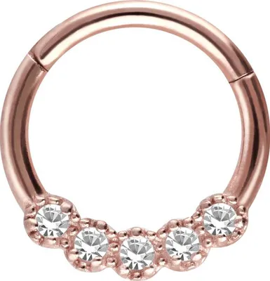 Produktbild von Ohrpiercing, Nasenpiercing, Septum Piercing Chirurgenstahl Segmentring Clicker 5 KRISTALLE