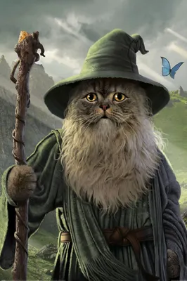 Image de CATDALF - Gandalf - 61x91,5cm - Affiche Poster