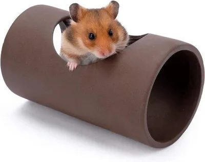 Productafbeelding van Famanu Hamster Tunnelbuis, schuilplaats voor kleine dieren - Grote keramische uitvoering