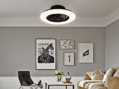 Obrázek produktu pro TRIO Trio Stralsund -LED-tuuletinvalaisin 50 cm, 30 W, mattamusta