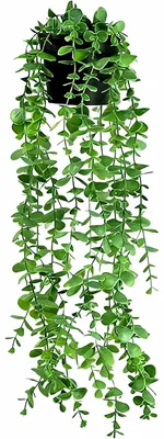 Produktbild von 1 künstliche Hängepflanze mit Eukalyptusblättern, künstliche Hängepflanze für Wohnzimmer, Zimmer, Wand, Haus, Terrassendekoration, ästhetische Wohndekoration