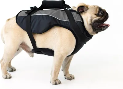 Produktbild von AVA DOGGY Schwimmweste Hund Hundeschwimmweste XL Grau