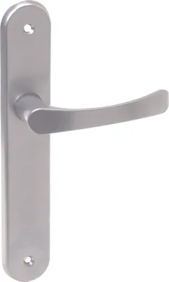 A silver door handle set with a long backplate, shown against a white background.