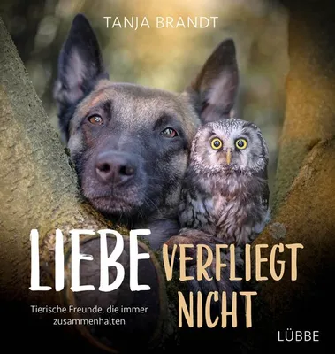 Obrázok produktu pre Brandt, T: Liebe verfliegt nicht