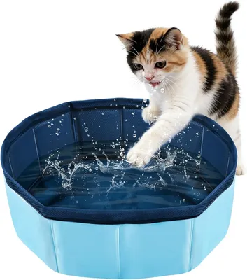 Image de Bassin pour chiens, dimensions 30 x 10 cm, pliable, en PVC, pour petits animaux de compagnie