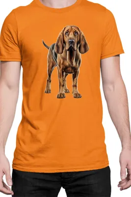 Immagine prodotto di Maglietta da uomo Dogs Breeds Bloodhound Dog Breed 005, Man L , Orange