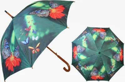 Produktbild von 1 Regenschirm Schmetterlinge, Automatikschirme Stockschirme Schirm Schirme Falter