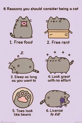 Produktbild von Pusheen Poster Set Reasosn to be a Cat 61 x 91 cm (4)