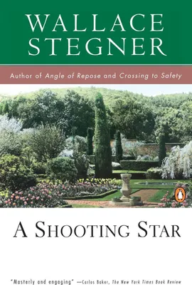 Produktbild von A Shooting Star