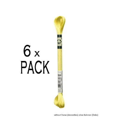 Productafbeelding van 6 bollen DMC Stickgarn Mouline Satin 1008F -307, 6-strengs, 8 meter, verpakkingseenheid