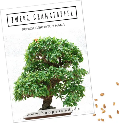Produktbild von Exotische Bonsai Samen mit hoher Keimrate - Pflanzen Samen Set für deinen eigenen Bonsai Baum (1x Zwerg Granatapfel)