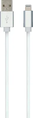 Obrázek produktu pro Carpoint USB-A>Lightning kabel 1 metr