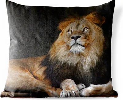 Produktbild von MuchoWow® Outdoor Kissen - Löwe - Schwarz - Wilde Tiere - 40x40 cm - Wetterfest - Lounge Kissen - Kopfkissen - Interieur - Polster mit Bild