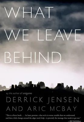 Produktbild von What We Leave Behind