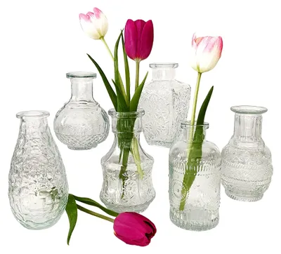 Produktbild von Glasvase im Vintage-Stil, Mini-Vase klar, H: 11,5-14,5 cm (6er Set)