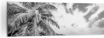 Produktbild von Bild auf Leinwand - Leinwandbild - Einteilig - Monochrom Strand Wolken - 160x50cm - Wand Bild - Wanddeko - Wandbilder - Leinwanddruck - Bilder - Wanddekoration - Leinwand bilder - AB160x50-4677