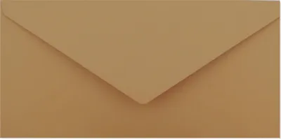 Image de Enveloppes brunes 100g DL 10pcs no 63