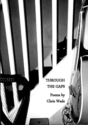 Produktbild von Through the Gaps