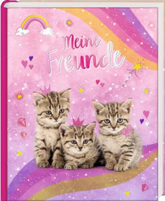 A book cover with three kittens sitting on a rainbow, with a rainbow and stars in the background.