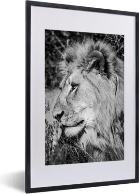 Produktbild von MuchoWow® Gerahmtes Poster Löwe - Tiere - Wild 40x60 cm - Poster mit Schwarzem Bilderrahmen Wandposter Rahmen Foto Bilder - Poster in Rahmen