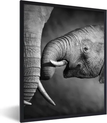 Produktbild von MuchoWow® Gerahmtes Poster Wildtiere - Elefant - Schwarz - Weiß - Porträt 60x80 cm - Poster mit Schwarzem Bilderrahmen Wandposter Rahmen Foto Bilder - Premium - Wanddeko Wohnzimmer