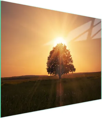 Produktbild von Hitzebeständiges Glas-Schneidebrett 52x30 cm mit Baum-Motiv, kratzfest & hygienisch