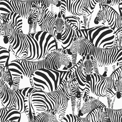 Produktbild von ESTAhome Tapete Zebras Schwarz-Weiß 53 cm x 10.05 m