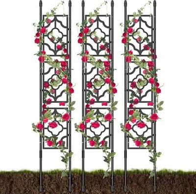 Image de Support pour plantes grimpantes de 1,5 m en acier inoxydable pour concombres, fruits, légumes et fleurs