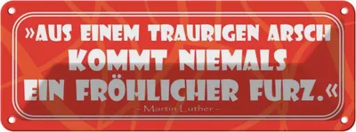 Produktbild von vianmo Blechschild 10x27 cm Aus einem traurigen Arsch Dekoration Spruch Zitat