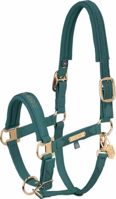 Produktbild von Eskadron HERITAGE Halfter " FAUX LEATHER DOUBLE PIN PLAIT " Größe - X-Warmblut Farbe - vintage green