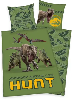 Produktbild von Jurassic World T-Rex Dinosaurier Wende Bettwäsche, 80 x 80 cm + 135 x 200 cm
