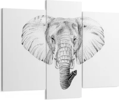 Produktbild von Bild auf Leinwand - Leinwandbild - Elefant Afrika Illustration Kinder - 130x100cm - Wand Bild - Wanddeko - Leinwanddruck - Bilder - Kunstdruck - Leinwand bilder - Wandkunst - CB130x100-3213