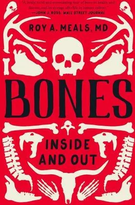 Produktbild von Bones