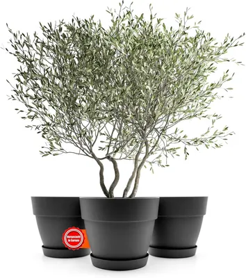 Image de Sous-couche pour pot de fleurs, pot de fleurs avec sous-couche, forme ronde, diamètre 40 cm, couleur anthracite, pot de fleurs pour intérieur et extérieur, fabriqué en Europe