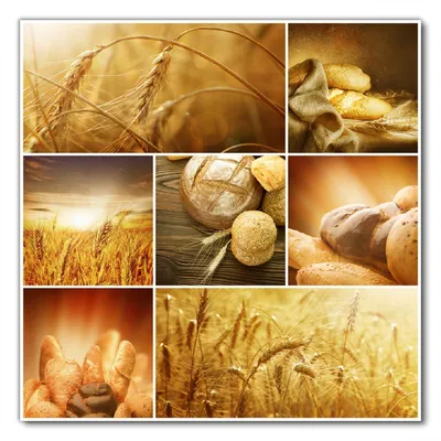 Produktbild von Wallario selbstklebende Möbelfolie/ Tischdecke für Innen und Außen, Größe: 100 x 100 cm - Getreide und Brotsorten aus Weizen