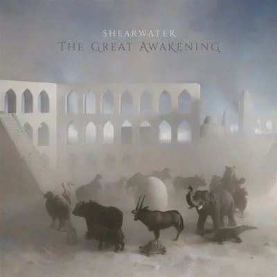 Obrázok produktu pre Shearwater: - 375 Media - (CD / T)