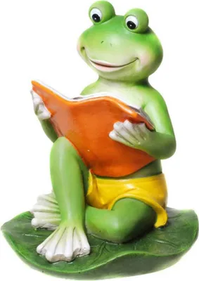 Produktbild von Frosch mit Buch und Badehose