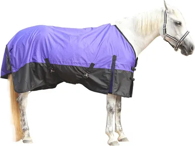 Productafbeelding van Paard Regendeken - Paardendeken Waterdicht - Paard Beschermen - Scheurvast Ademend - 0 g Vulling - Lila