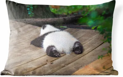 Produktbild von MuchoWow® Outdoor Kissen - Tier - Panda - Schlafend - 60x40 cm - Wetterfest - Lounge Kissen - Zierkissen - Kissen für Innenräume