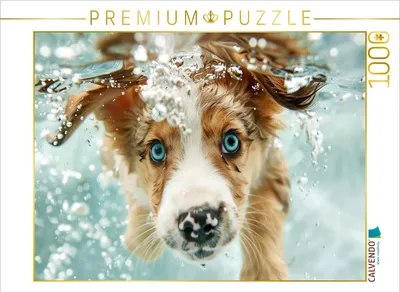 Produktbild von CALVENDO Puzzle Ein Motiv aus dem Kalender "Hunde und Wasser" | 1000 Teile Lege-Größe 64x48cm Foto-Puzzle für glückliche Stunden