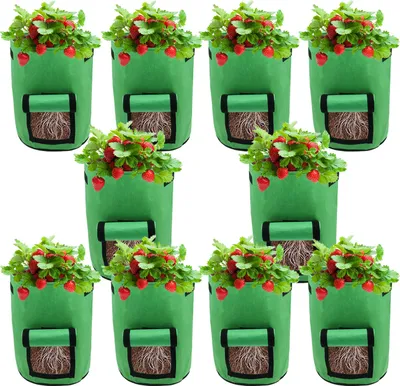 Produktbild von Clanmacy Pflanzsack 10X 38L aus Vliesstoff, Pflanztopf Pflanzensack für Kartoffeln,Tomaten, Blumen, Pflanzen, Gemüs,Pflanzen Tasche