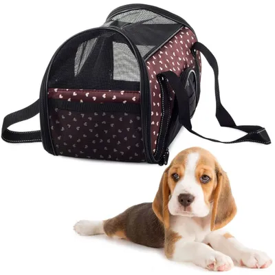 Image de Sac de transport pour chien et chat