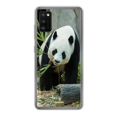 Produktbild von MuchoWow® Handyhülle Schutzhülle Hülle für Samsung Galaxy A41 Panda - Baumstamm - Höhle Silikon Softcase Handy Hülle - Mobiltelefon