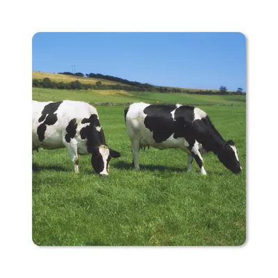 Produktbild von MuchoWow® Mauspad Mousepad Kuh - Tiere - Gras 20x20 cm - Mousepads - Maus Mat - Pad - Mausunterlage - Desk Mat - Bureauartikeln