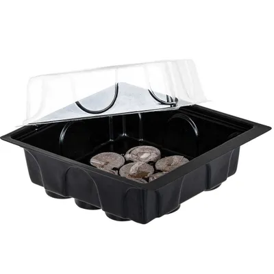 A black plastic mini-greenhouse with a clear plastic lid, containing several peat discs for starting seeds.