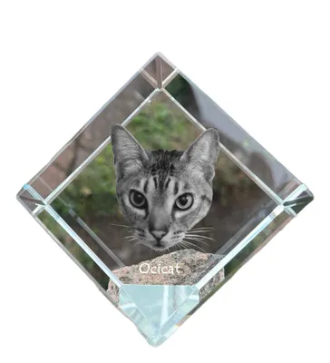 Produktbild von Ocicat Kristallwürfel mit Katze Art-Dog